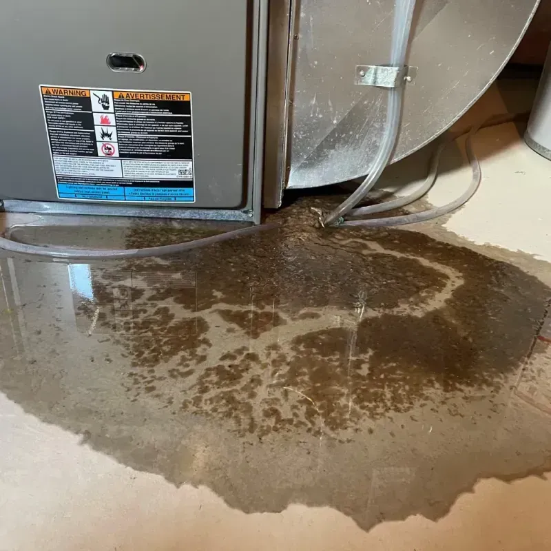 Appliance Leak Cleanup in Pablo, MT